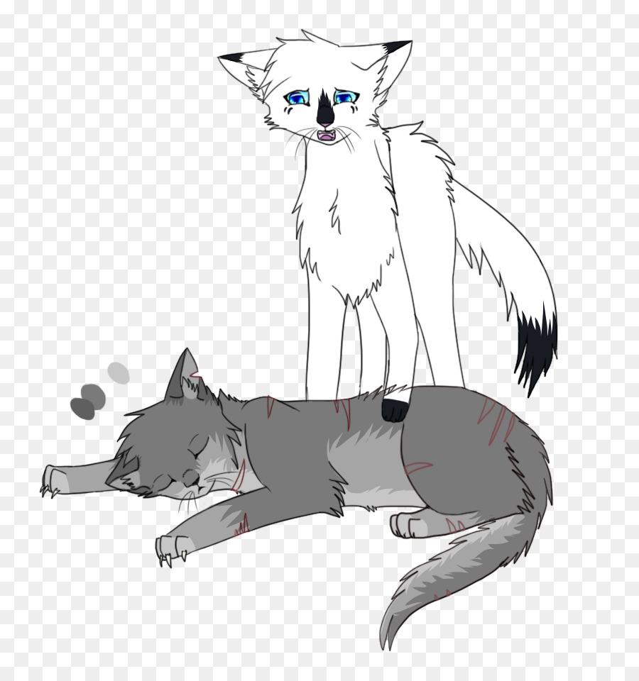 Dog And Cat png download   2020   Free Transparent Whiskers png ...
