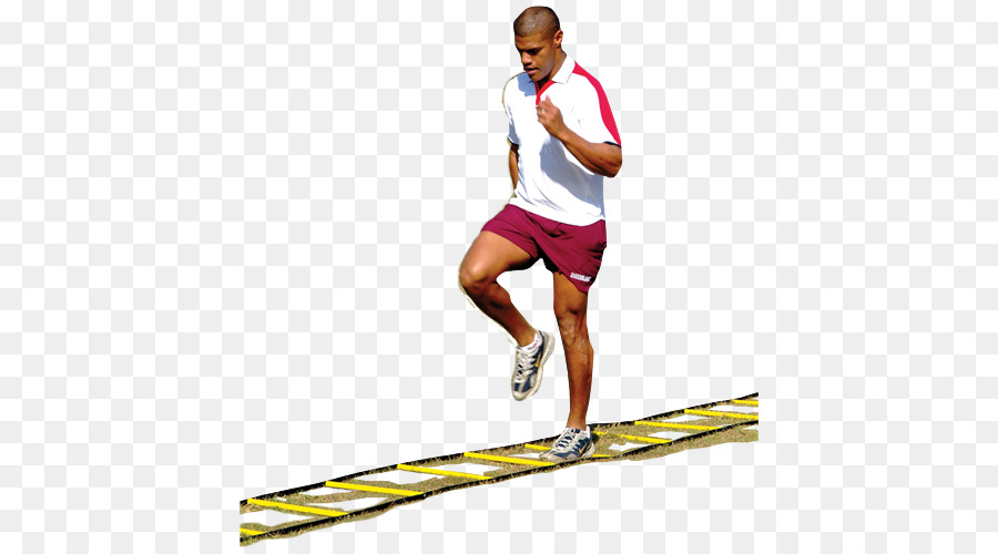 Đồ thể thao khoa học Nhóm vận động Viên thể dục Dòng - tốc độ bậc thang máy khoan bài tập