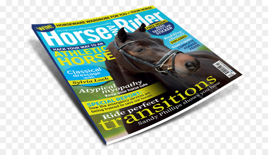 Pferd Pferdesport Werbung, Marke, Produkt - Bestseller Magazin