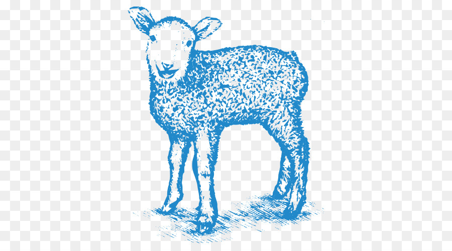 Cừu Clip nghệ thuật Véc tơ đồ họa Vẽ Hoạ - bay sọ đồng hồ cát