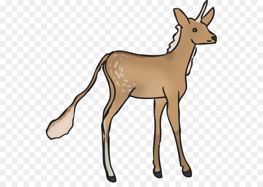 Elch Rentier Clip art Antilope - elk Herde
