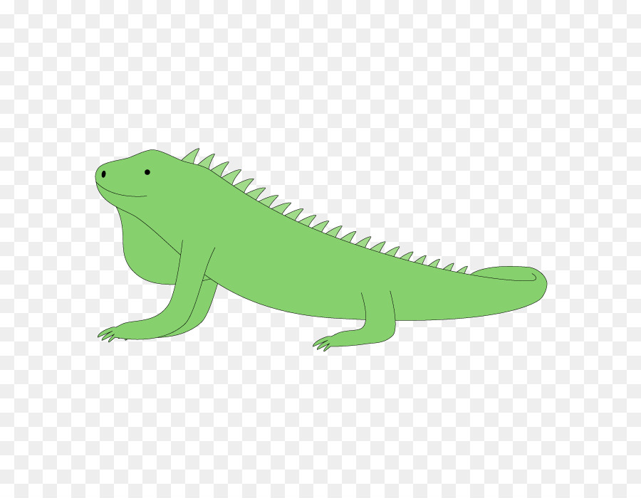 Gemeinsame Leguane Clip art Illustration Amphibien Fauna - Krokodil Hai-Käfig