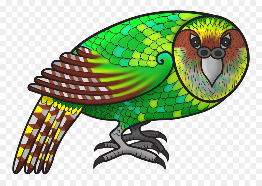 Lingua madre Macaw Uccelli Nativi di Apprendimento - samoan tapa panno