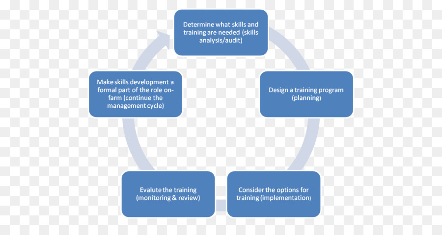 Health Care Evaluation System Organisation Patienten - Bildungsentwicklungsplan