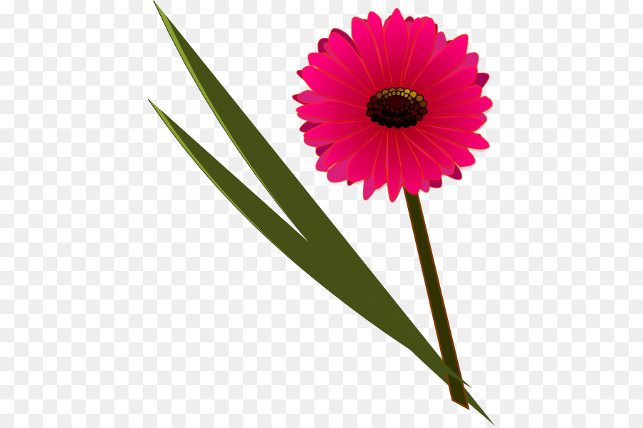 Clip-art-Blumen-Floral-design-Transvaal daisy Blütenblatt - genesis Blume