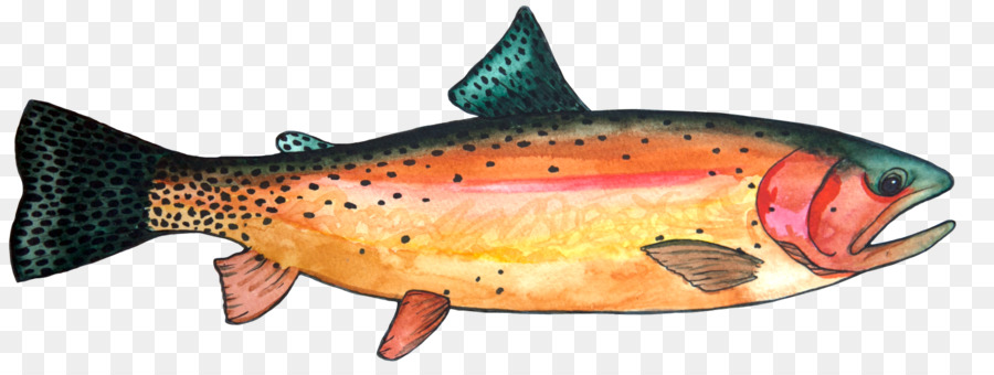 Costiera trota cutthroat Coho salmone Nord di red snapper - pesca
