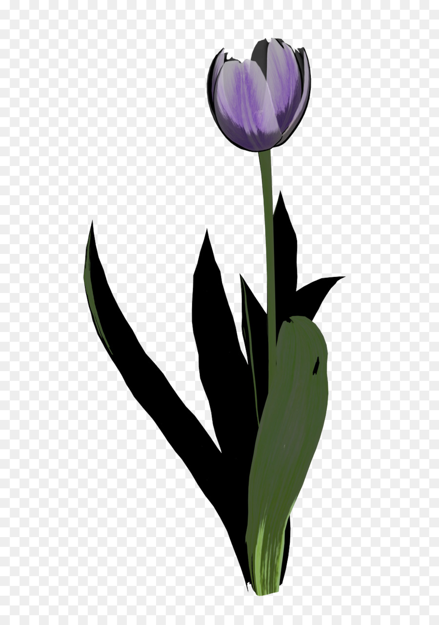 Clip art Tulip Grafik Bing - high clipart