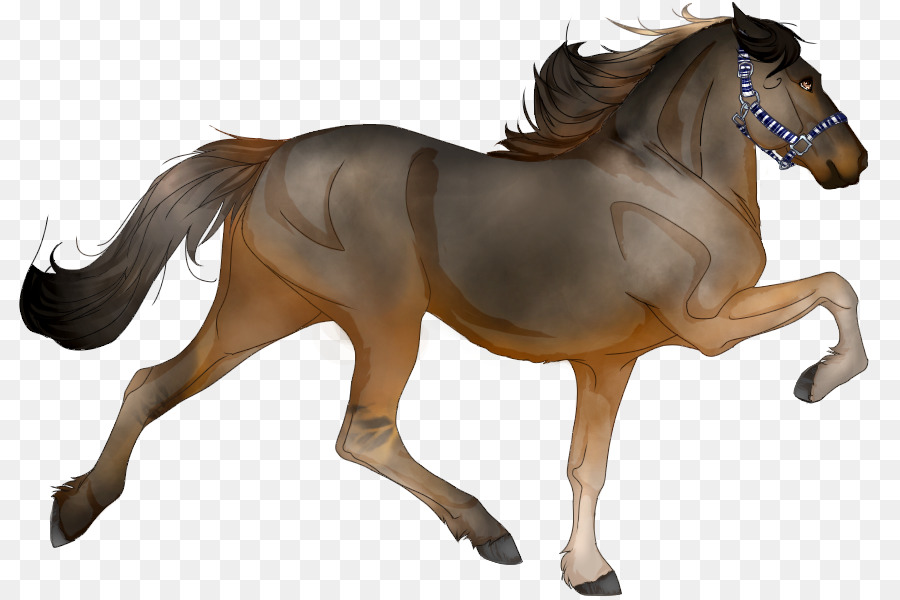 American Quarter Horse Friesian horse Stallion Zingara cavallo Shire horse - pensare di nuovo di sabbia