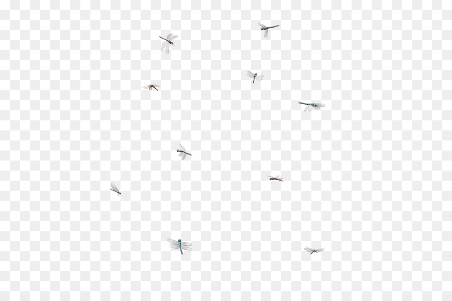 La migrazione degli uccelli Angolo Carattere della Linea - stella albero di ciliegio informazioni