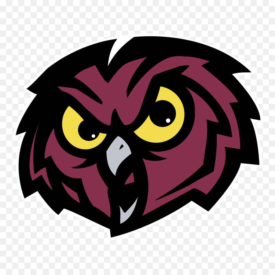 Temple Owls football Temple Owls Frauen basketball NCAA Division I Football Bowl Subdivision der Temple University - Beispiel