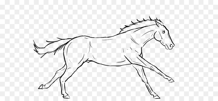 Cavallo arabo American Quarter Horse Pony Frisone cavallo Mustang - mustang