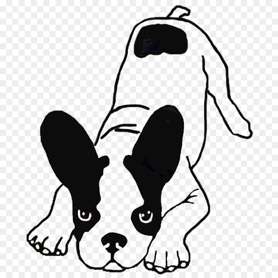 Boston Terrier Bulldog francese Cucciolo di Cane di razza - cucciolo