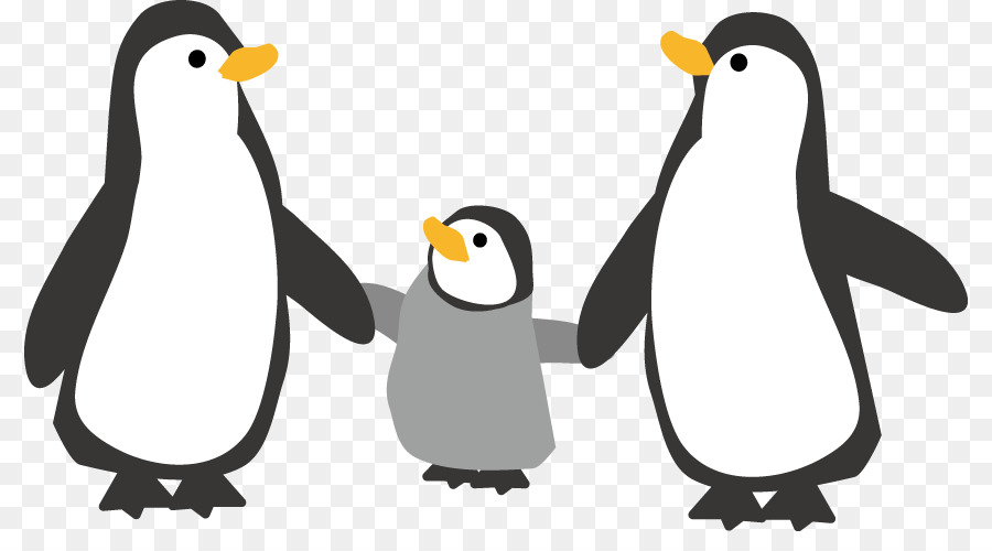 Kaiser-Pinguin Abbildung Southern rockhopper ' Pinguin-König Pinguin - Pinguin