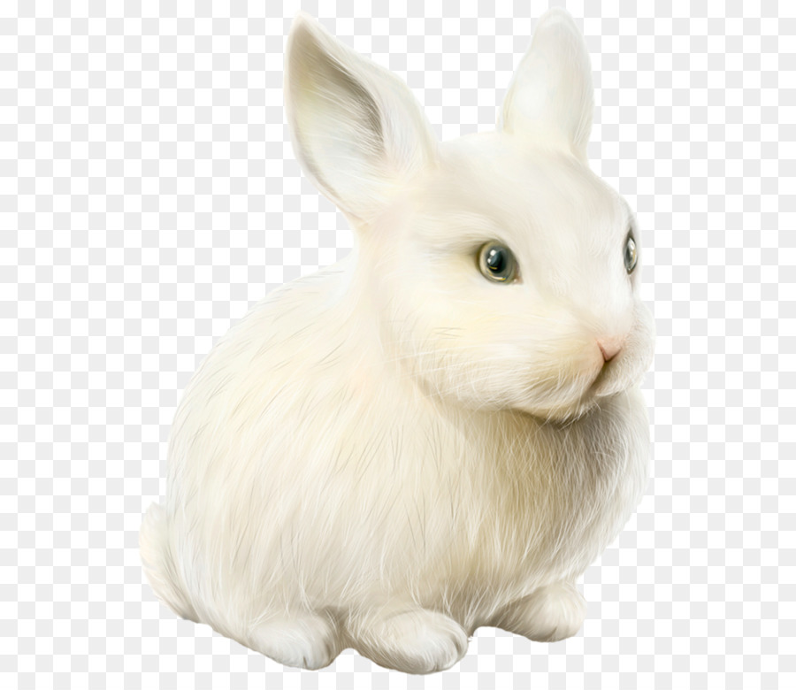 Heimische Kaninchen Osterhase Hase Portable Network Graphics - Kaninchen