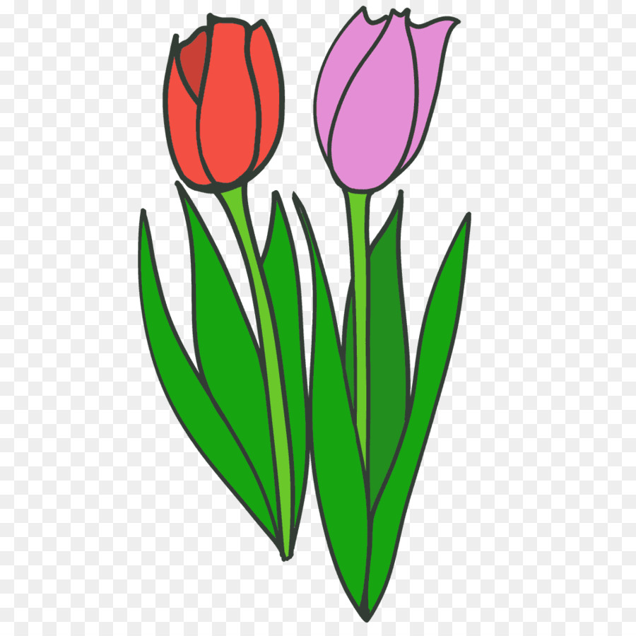 Tulip Schnitt-Blumen Illustration Pflanzen-Stammzellen - 