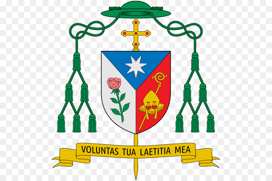 Wappen Bischof der katholischen Diözese von Dallas Kirchliche heraldik Katholizismus - 