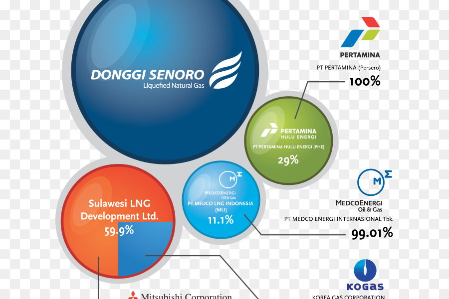 PT Donggi-Senoro LNG-Organisation Liquefied natural gas Corporation Company - 