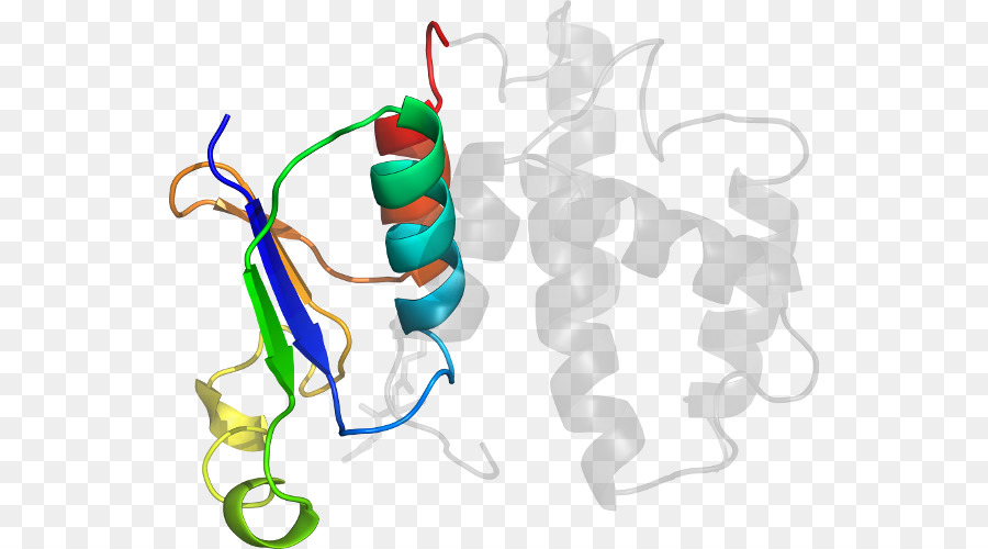 Clip art design di Prodotto Organismo di Linea - prostaglandinendoperoxide sintasi 2