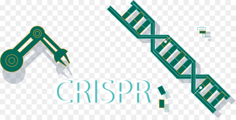 CRISPR Cas9 Genom-editing-Do-it-yourself-Biologie Wissenschaft - CRISPR