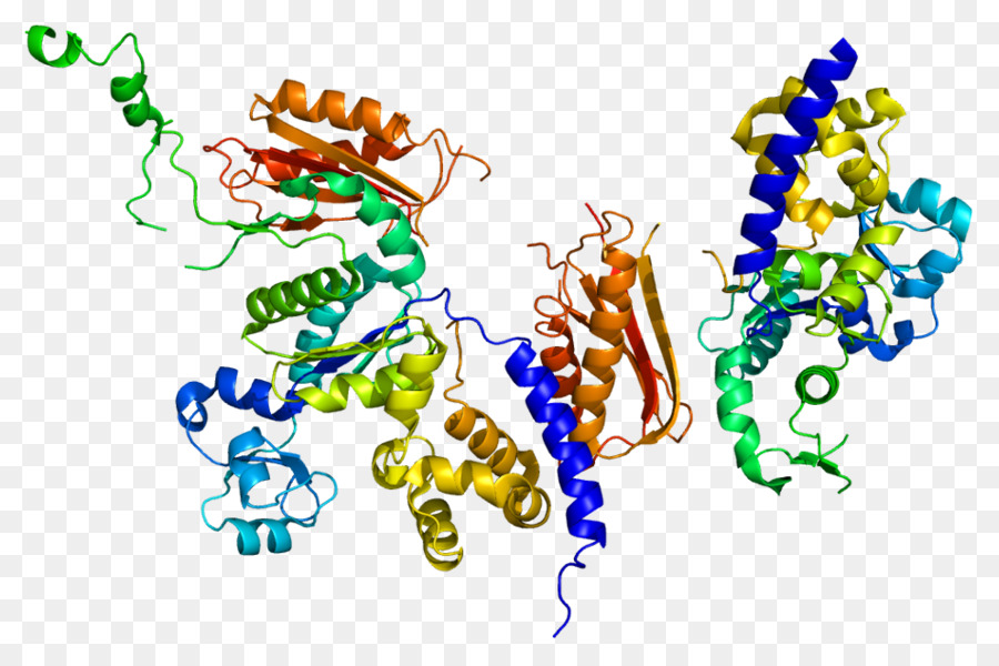 Abbildung, Clip art Organismus Line - DNA mismatch Reparatur