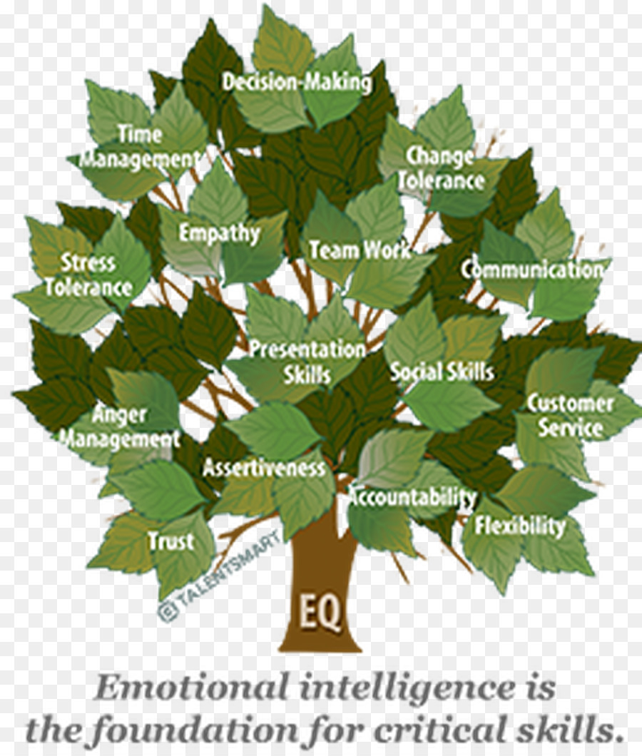 Die Emotionale Intelligenz Bewertung Verständnis Emotionale Intelligenz - 