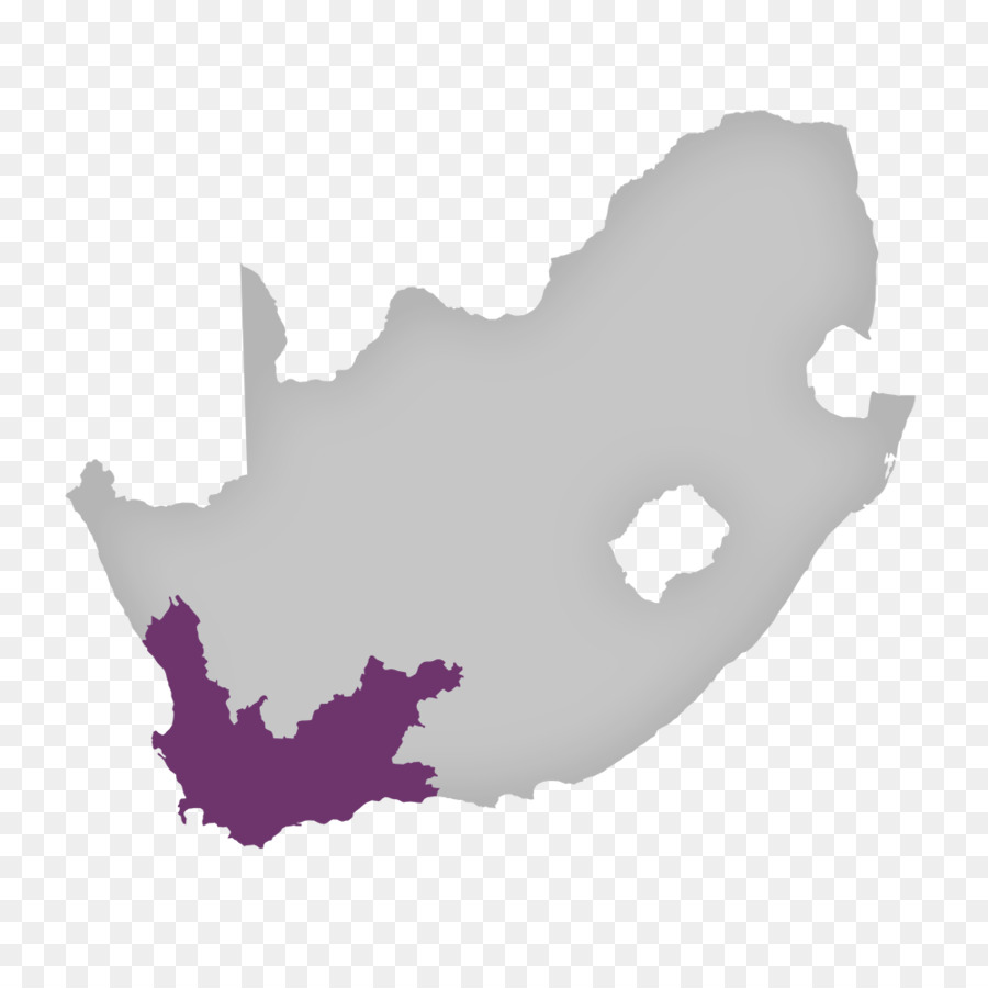 Sud Africa grafica Vettoriale Vector Illustrazione Mappa - mappa