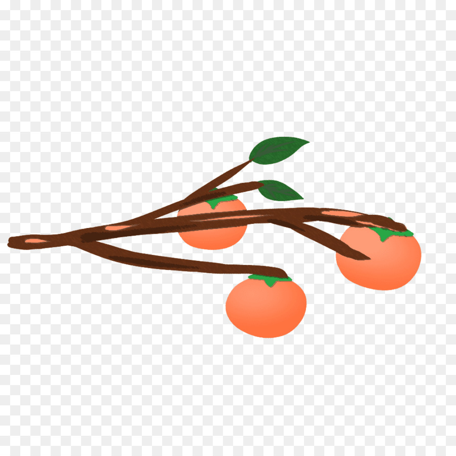 Japanische Persimmon Obst-Illustration-Grafik-Gemeinsame Persimmon - 