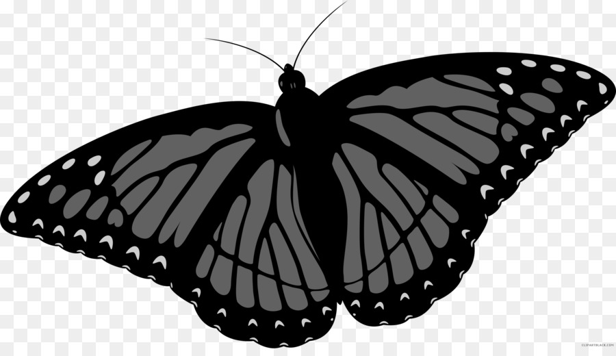 Monarch-Schmetterling, Clip-art Scalable Vector Graphics - Schmetterling
