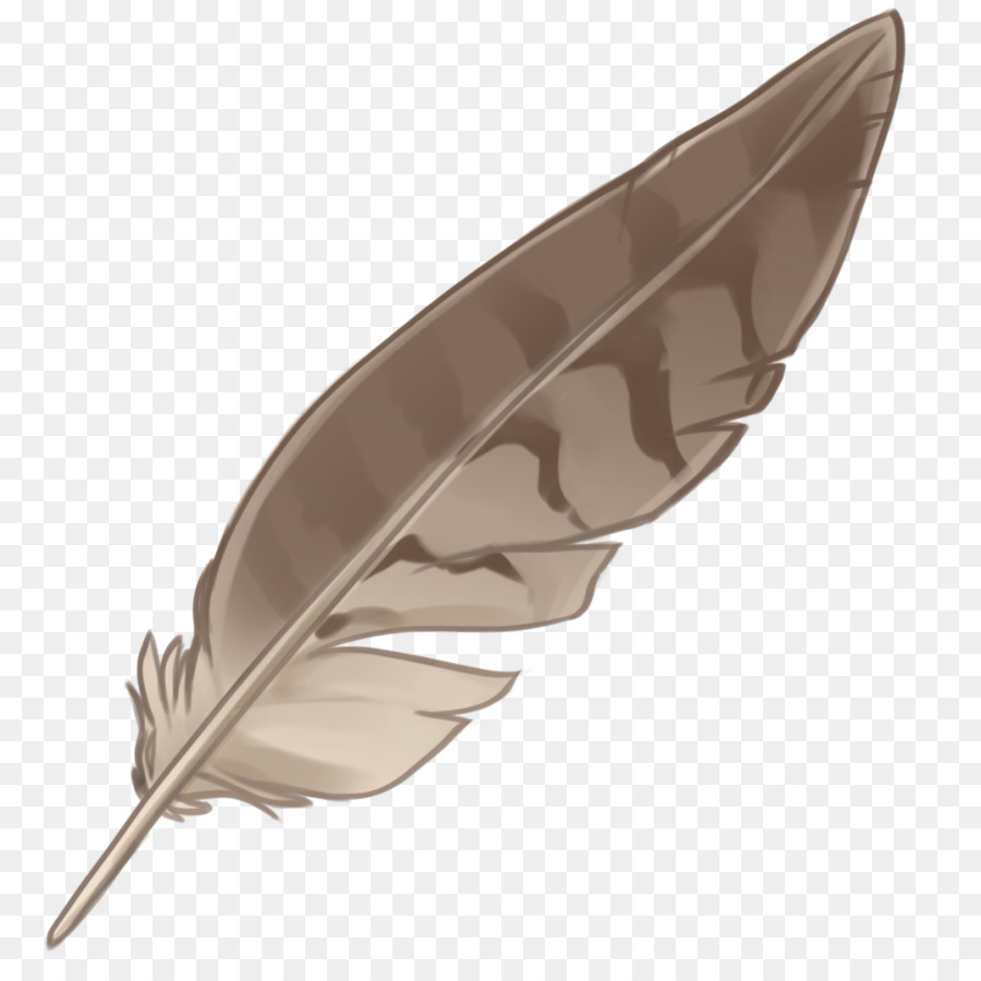Eagle feather Gesetz Portable Network Graphics Native Indian Feathers-Bild - Feder