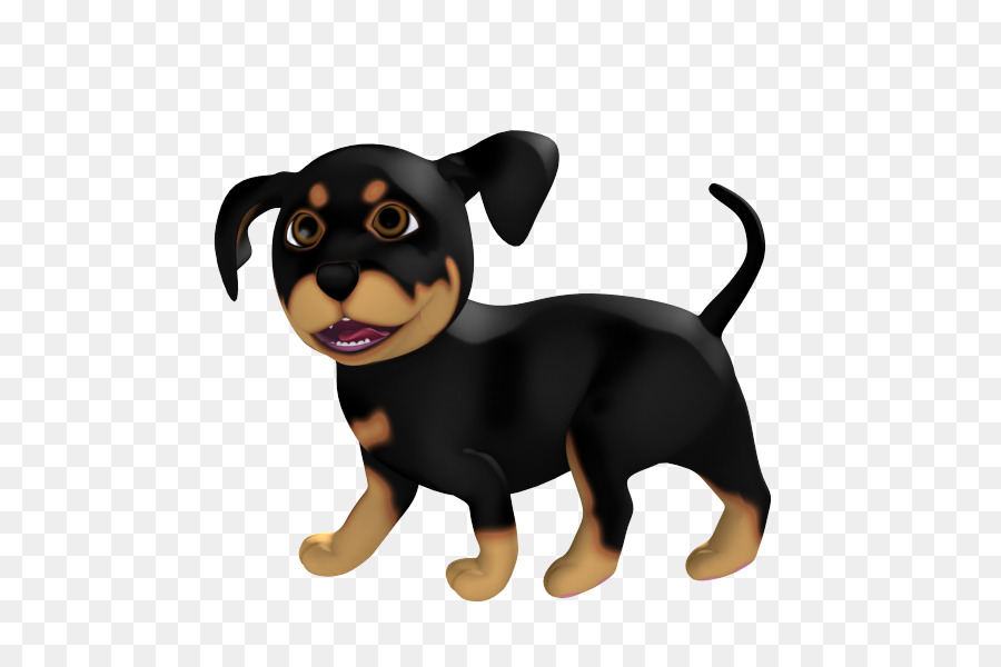 Cucciolo di Rottweiler, Cane di razza Pinscher cane da compagnia - cucciolo