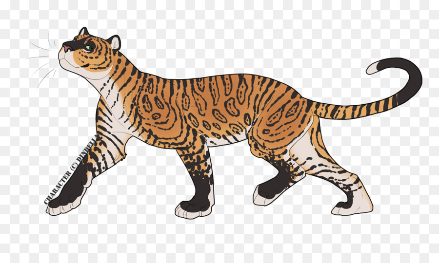 Domestico a pelo corto gatto Tigre Artista - gatto