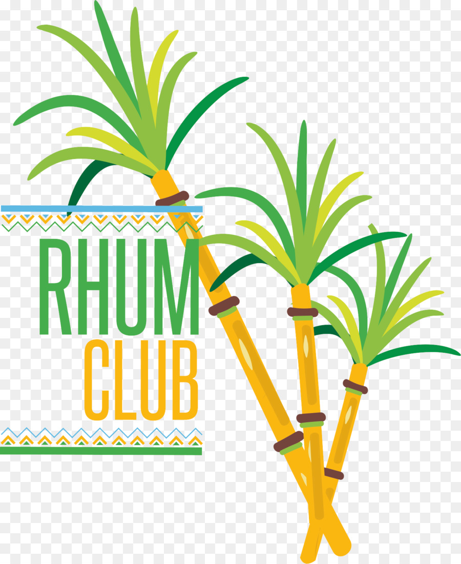 Rum Antillais Restaurant Festival Palmen - gustazo kubanischen restaurant und cafe