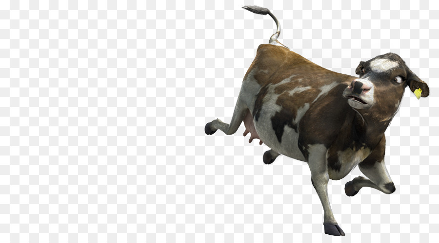 Ziege Baka Taurin Vieh Vieh Horn - Ziege