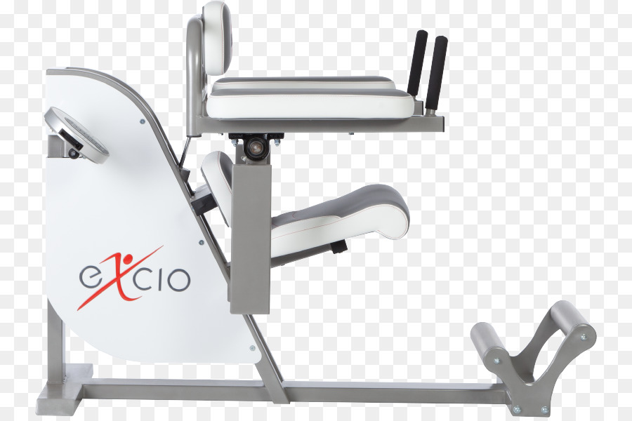 Gewichtheben Maschine Hyperextensions High Line Crunch Produkt - Bauchmuskulatur