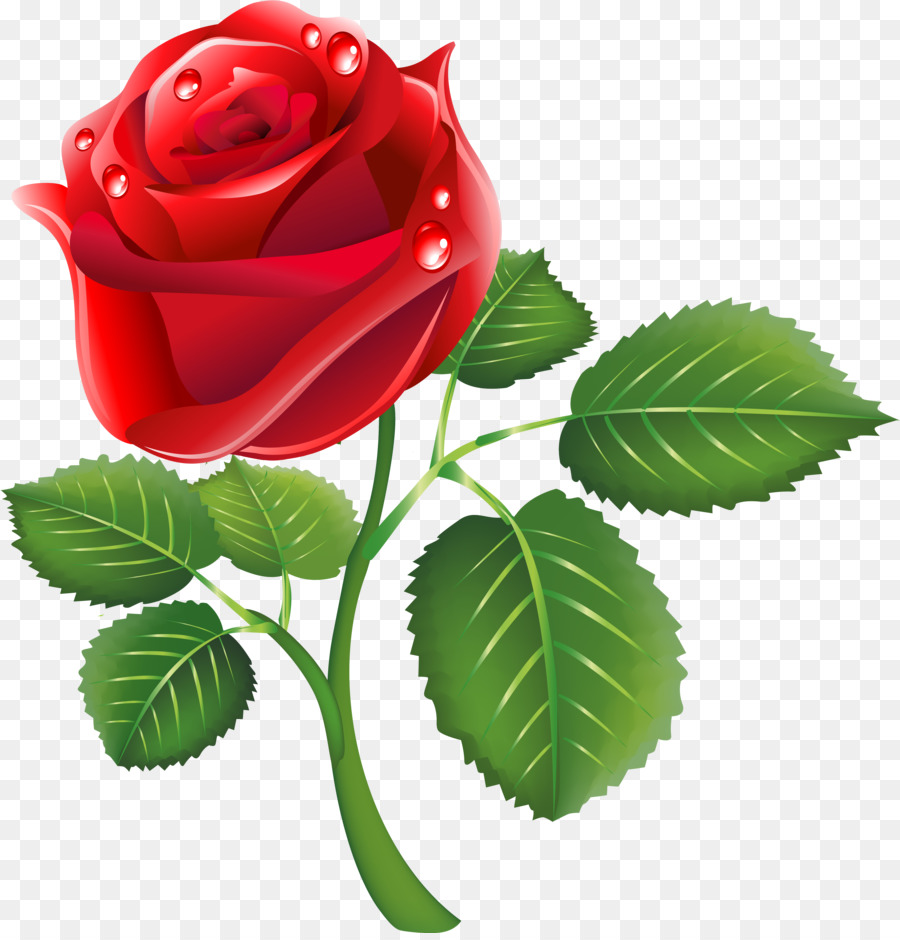 Đồ Họa Mạng di động Ảnh Vườn hoa hồng Clip nghệ thuật Hoa - hoa hồng màu đỏ