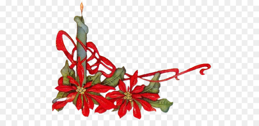 Natale ornamento Floreale di fiori recisi Cibo - candela