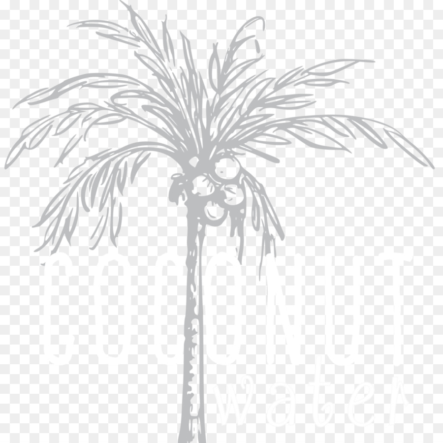 Asiatico palmyra palma da datteri Twig Foglia staminali Vegetali - data di palm