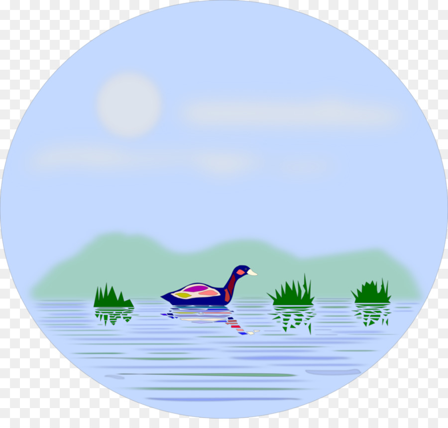Pond Cartoon