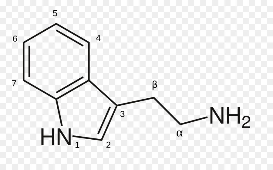 8-Anilinonaphthalene-1-Sulfonsäure seleno-Methionin Chemie Chemische Substanz - Strukturelement