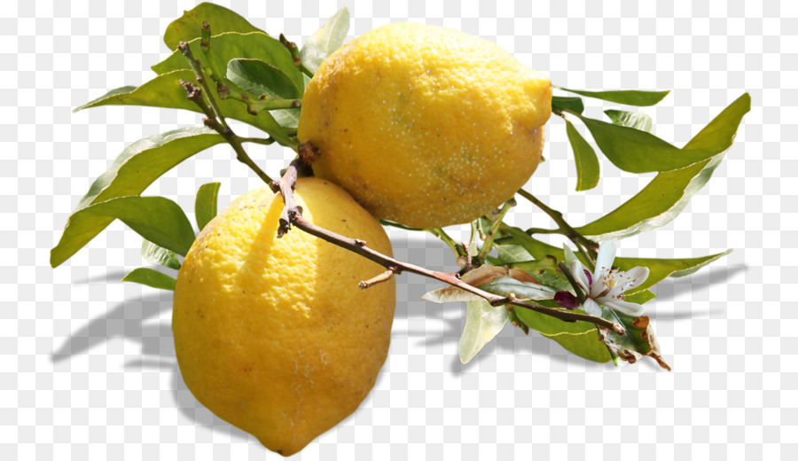 Lemon, Lime and Bitters Vegetarische Küche Obst Saft - 