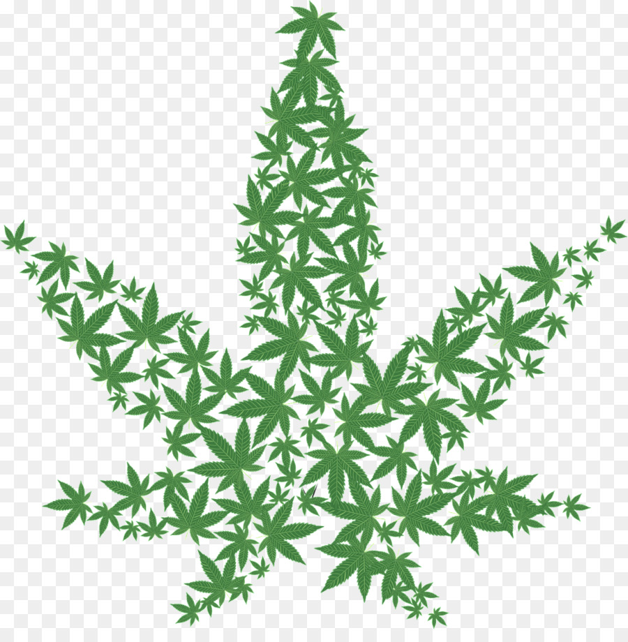 Cannabis sativa Cannabis Cup Skunk Medizinischen cannabis - Cannabis