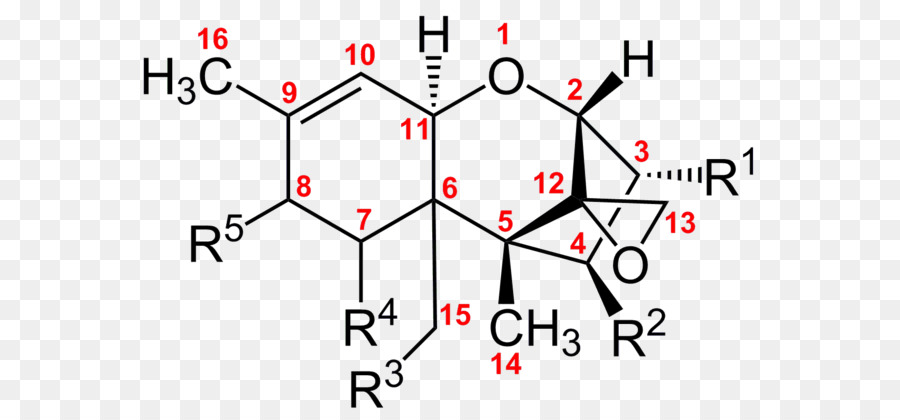 Trichothecene T-2 Mykotoxin-Diacetoxyscirpenol Schimmel - 