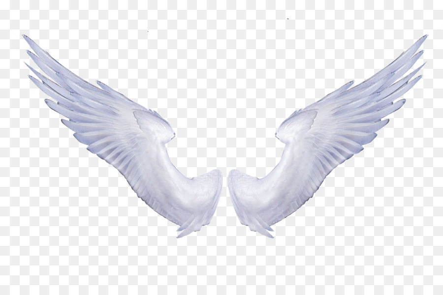 Ali d'angelo Portable Network Graphics Clip art Immagine di Trasparenza - figura di angelo