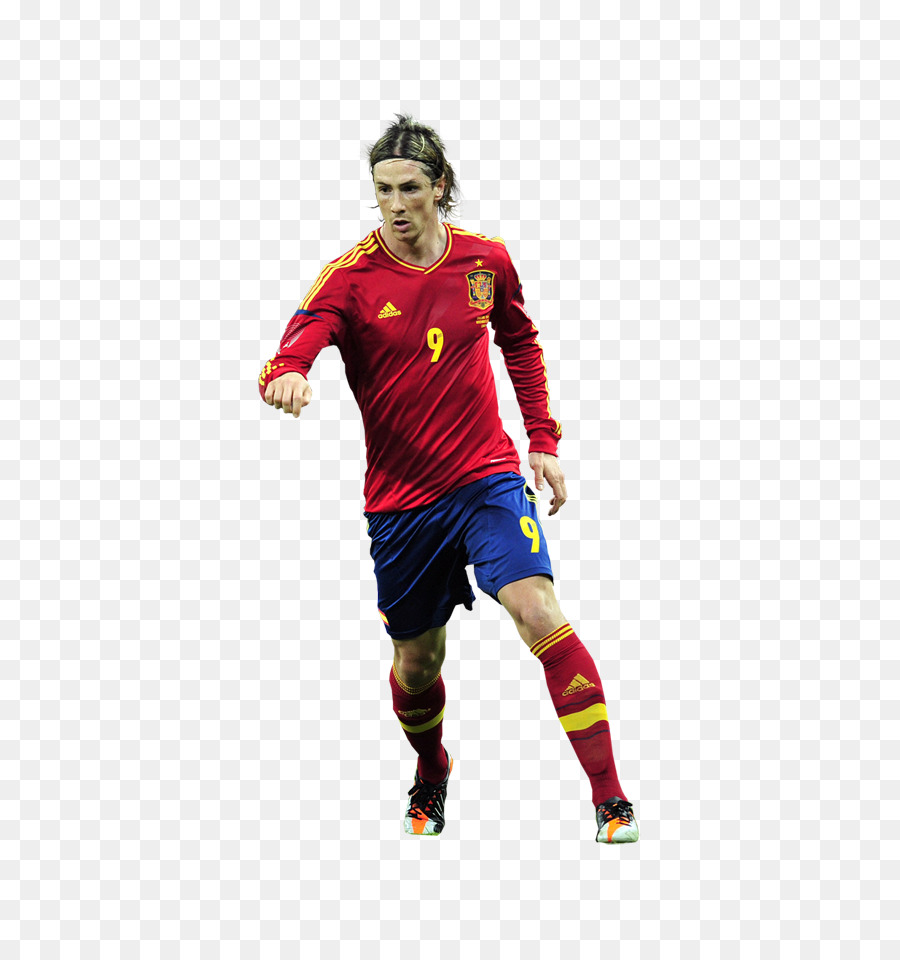 UEFA Euro 2012 Spagna squadra nazionale di calcio, giocatore di Calcio Spagna alla Coppa del Mondo FIFA 2010 - Calcio