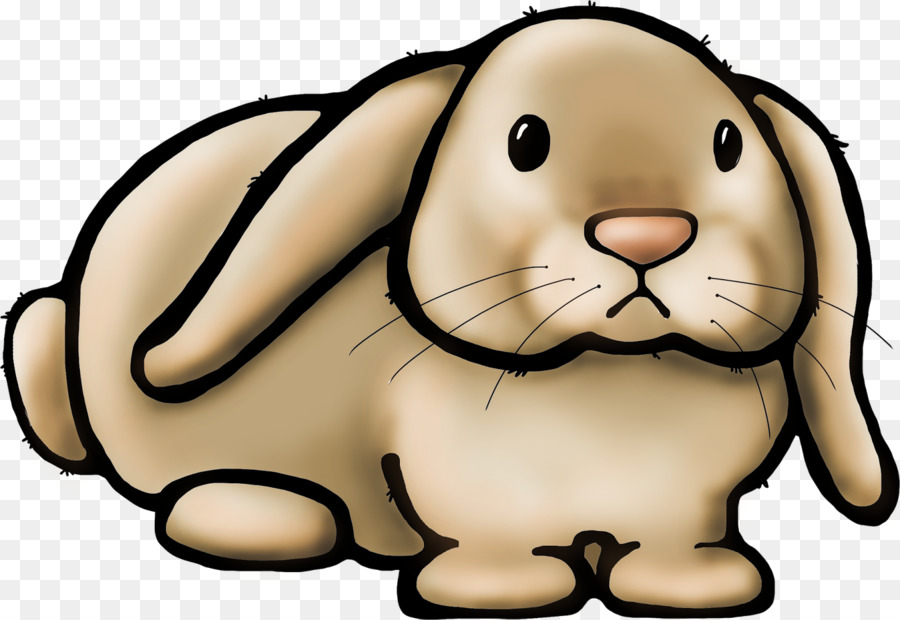 Domestic rabbit Clip art-Portable-Network-Graphics-Lehrer - Kaninchen