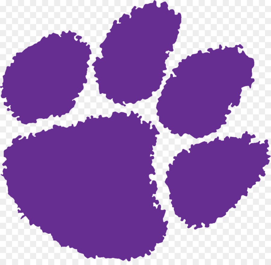 Clemson University, Clemson Tigers, football, Clemson Tigers men ' s basketball, American football - Tiger
