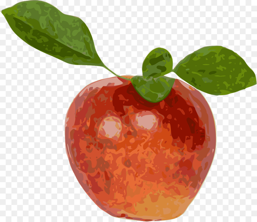 Apple Fruit stock.xchng-Vektor-Grafiken - Apple