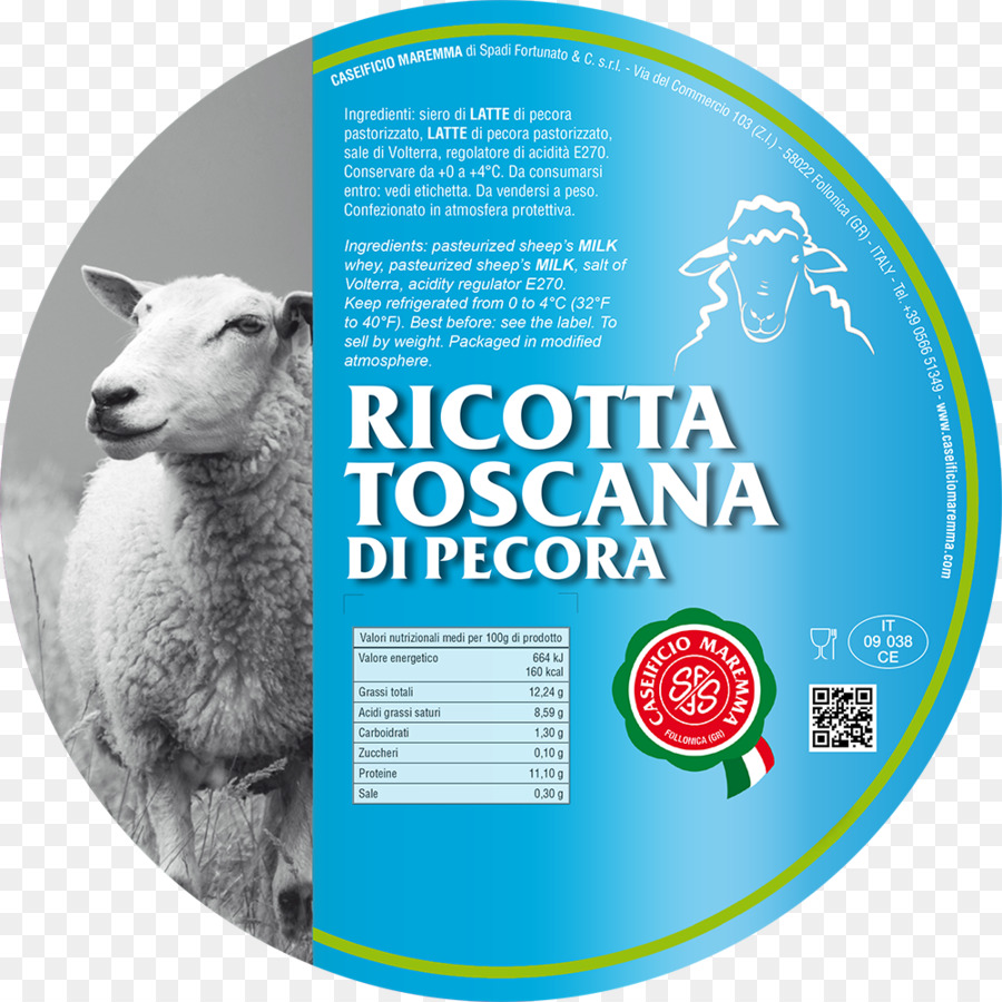 Cừu Sữa Maremma Spadi Fortunato Và C. Sữa Ricotta - cừu