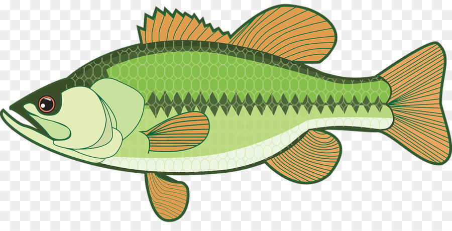 Clip-art-Largemouth bass-Openclipart Bass fishing - Krone Fisch
