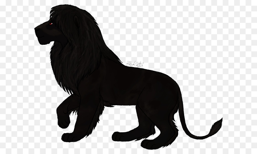 Cane di razza Lion Gatto Nero - leone